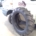 9.5-24 Michelin Bibagrip 3
